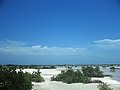 Chicxulub Puerto, Yucatán.