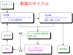 Drug discovery cycle schematic