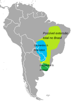 Área de distribución de Leopardus braccatus