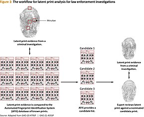 Latent fingerprint analysis process Figure 1 The workflow for latent print analysis for law enforcement investigations (51295965347).jpg