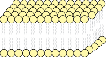 Darwinists and structuralists agree that cell structures like the cell membrane spontaneously self-organize. They disagree on how important self-organization is in other areas of biology. Fluid Mosaic.svg
