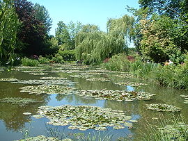 Water lilies in Claude Monet's garden in Giverny