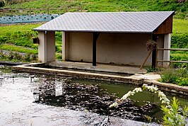 Lavoir (openbare wasplaats)