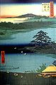 Сосна со «свисающими рукавами» на пруду Сендзоку. Из серии «100 видов Эдо». Хиросигэ.  1832. Цветная гравюра на дереве.