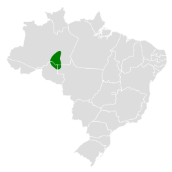 Distribución geográfica del hormiguero del Manicoré.