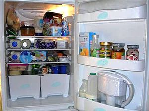 Photo of a typical refrigerator with its door ...