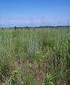 Key Cave National Wildlife Refuge