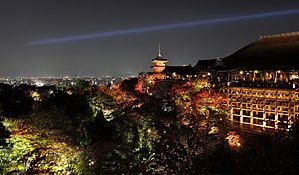 Vista nocturna