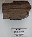 Zkamenělé dřevo kordaitu