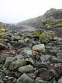 Paysage sur Lunga.