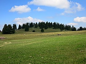 Vue du sommet.