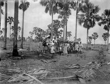 Поездка в Сент-Мари-де-Маровуа в 1906 году во время первого визита Вальтера Каудернса на Мадагаскар.