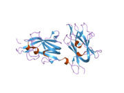 2orz​: Strukturna baza za vezivanje liganda i heparinom posredovanu aktivaciju neuropilina