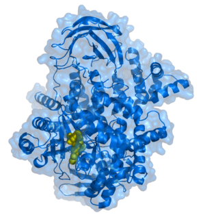 Phosphoinositide 3-kinases