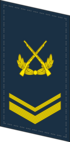 PLAAF-Collar-0705-SSG.png