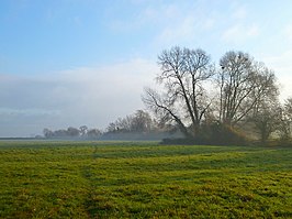 Pasture, Longwick, 2010