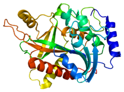 Protein NP PDB 1m73.png