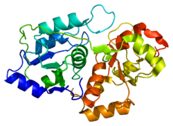 Protein TST PDB 1dp2.png