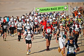 Image illustrative de l’article Ultra-marathon