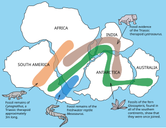 Fossil patterns across continents (Gondwanaland) Snider-Pellegrini Wegener fossil map.svg