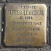 Stolperstein für Alfred Lewkonja