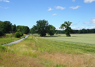 Vällingevägen med Sturehovs kulturlandskap.