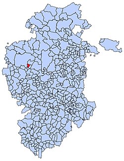 Municipal location of Tobar in Burgos province
