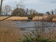 Wattbucht an der Wümme bei Ebbe, Dezember 2015