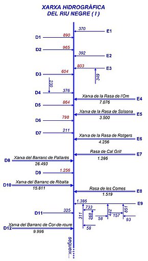 Xarxa hidrogràfica del Riu Negre