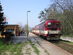 Zdjęcie LK246