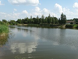 Vaizdas į tvenkinį nuo Žiežmarių pakrantės