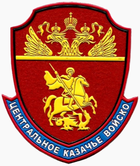 Нарукавный знак ВКО ЦКВ