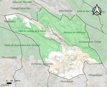 Carte des ZNIEFF de type 1 sur la commune.