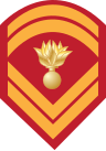 Знак постоянного сержанта Греческой Сухопутной армии.