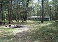 Kiwi camp ground and bunkhouse