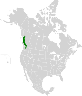 Description de l'image British Columbia mainland coastal forests map.svg.