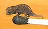 Jugendliches Brookesia micra auf einem Streichholzkopf