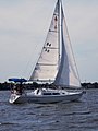 Catalina 270