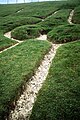 Detail van de fallus en benen van de Cerne Abbas-reus