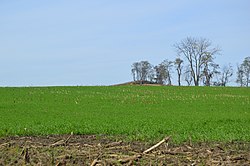 Conestoga Town overview.jpg