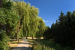 Conley Park, one of the many parks found in Thornhill