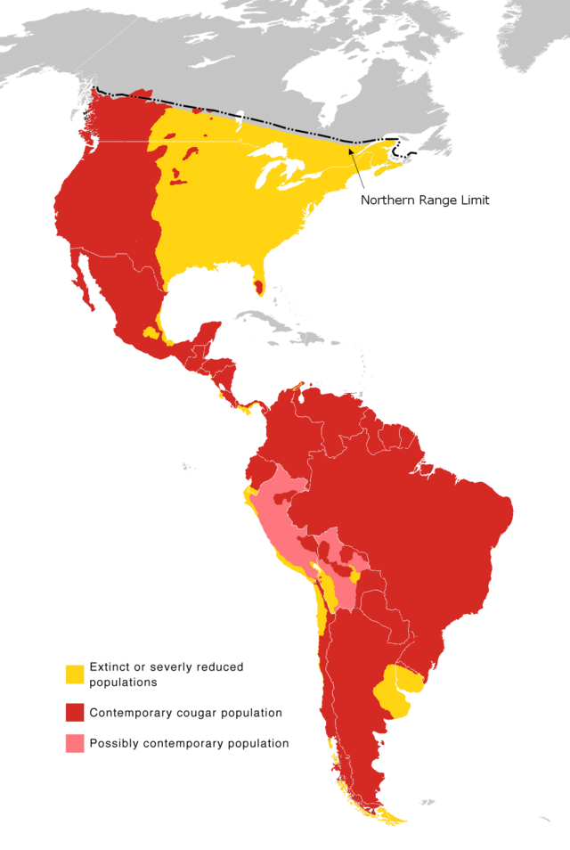 Distribuição geográfica da onça-parda.\n  Presente   Possivelmente presente   Extinta ou severamente ameaçada
