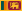 შრი-ლანკის დროშა