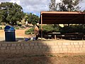 Picnic tables under the pavilion