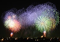 I fuochi d'artificio sono uno dei festeggiamenti classici del Capodanno