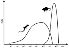 Sustained energy output (joules) of a typical reptile versus a similar size mammal as a function of core body temperature. The mammal has a much higher peak output, but can only function over a very narrow range of body temperature. Homeothermy-poikilothermy.png