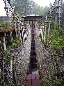 Jurong Bird Park - ponte tibetano fatto di corde