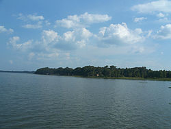 Leesburg FL Lake Harris02.jpg