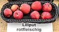 Liliput (rotfleischig)