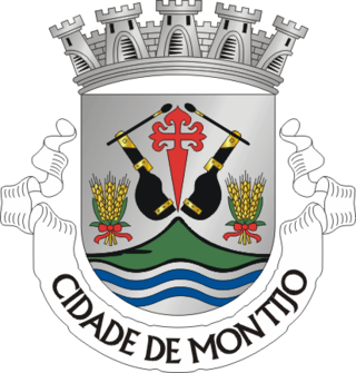 Brasão de Montijo